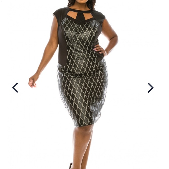 Plus Size Dresses - Picture 4 of 8